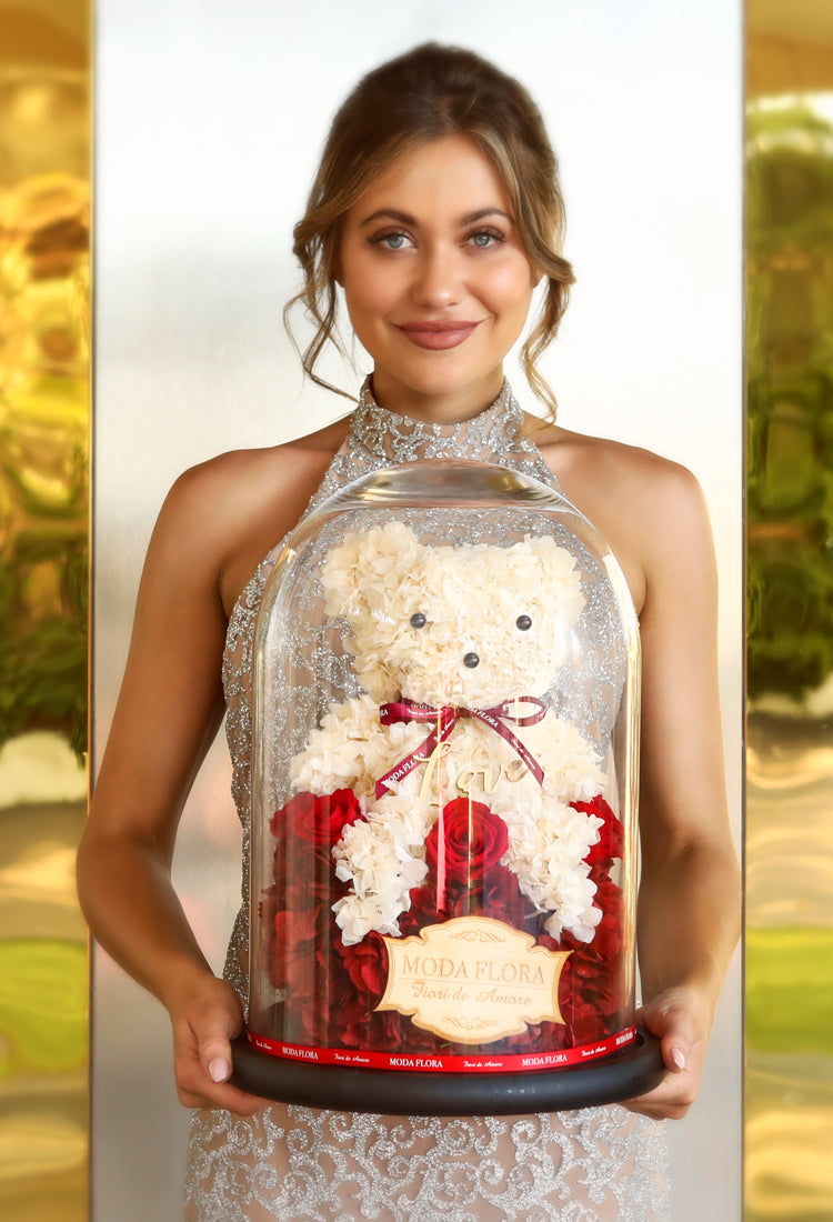 MR. MODA BEAR