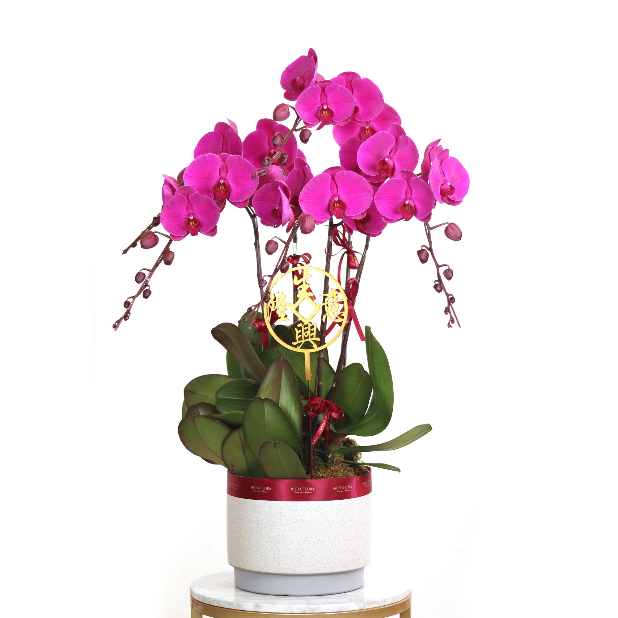 Oriental Beauty (5 Stems)