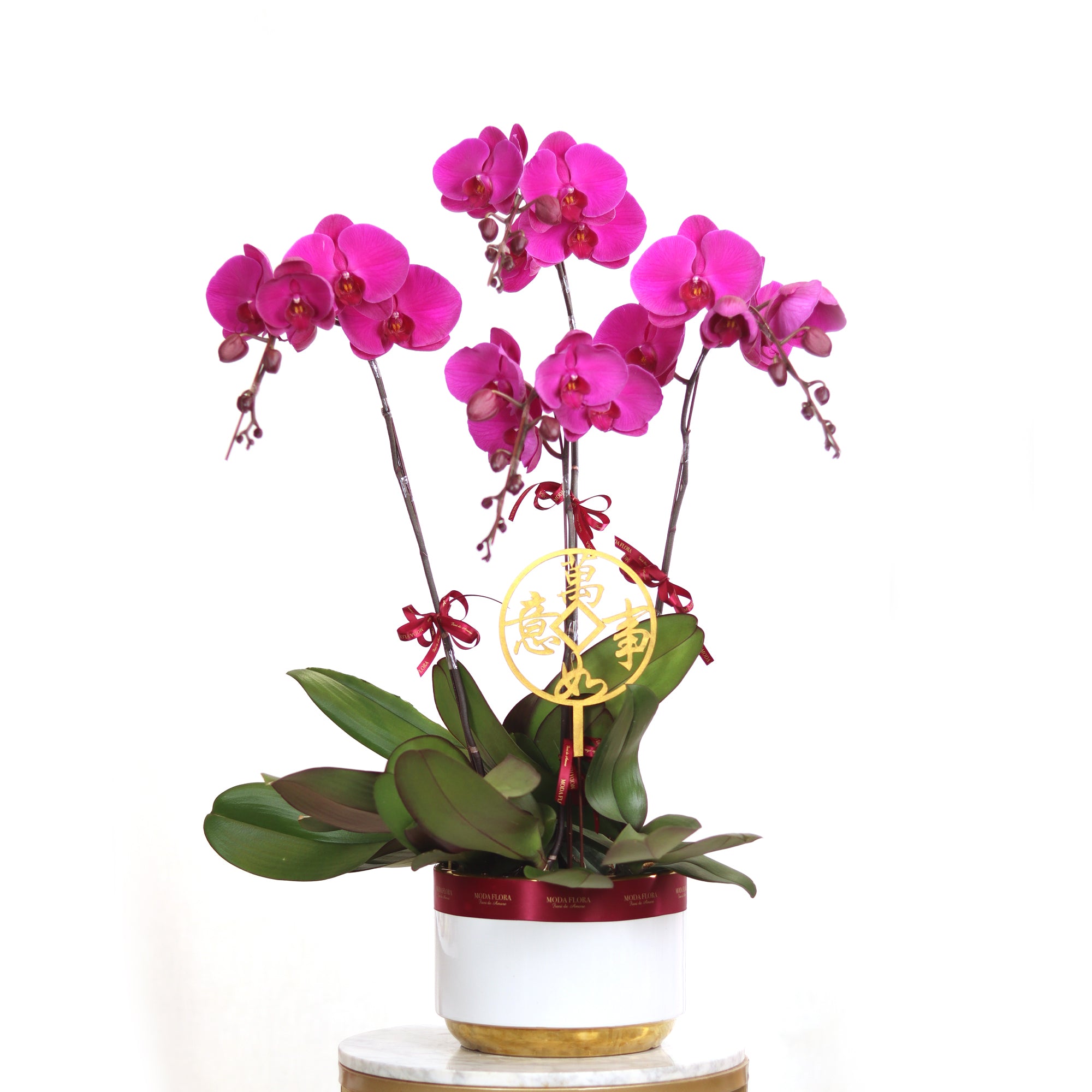 Oriental Beauty (4 Stems)