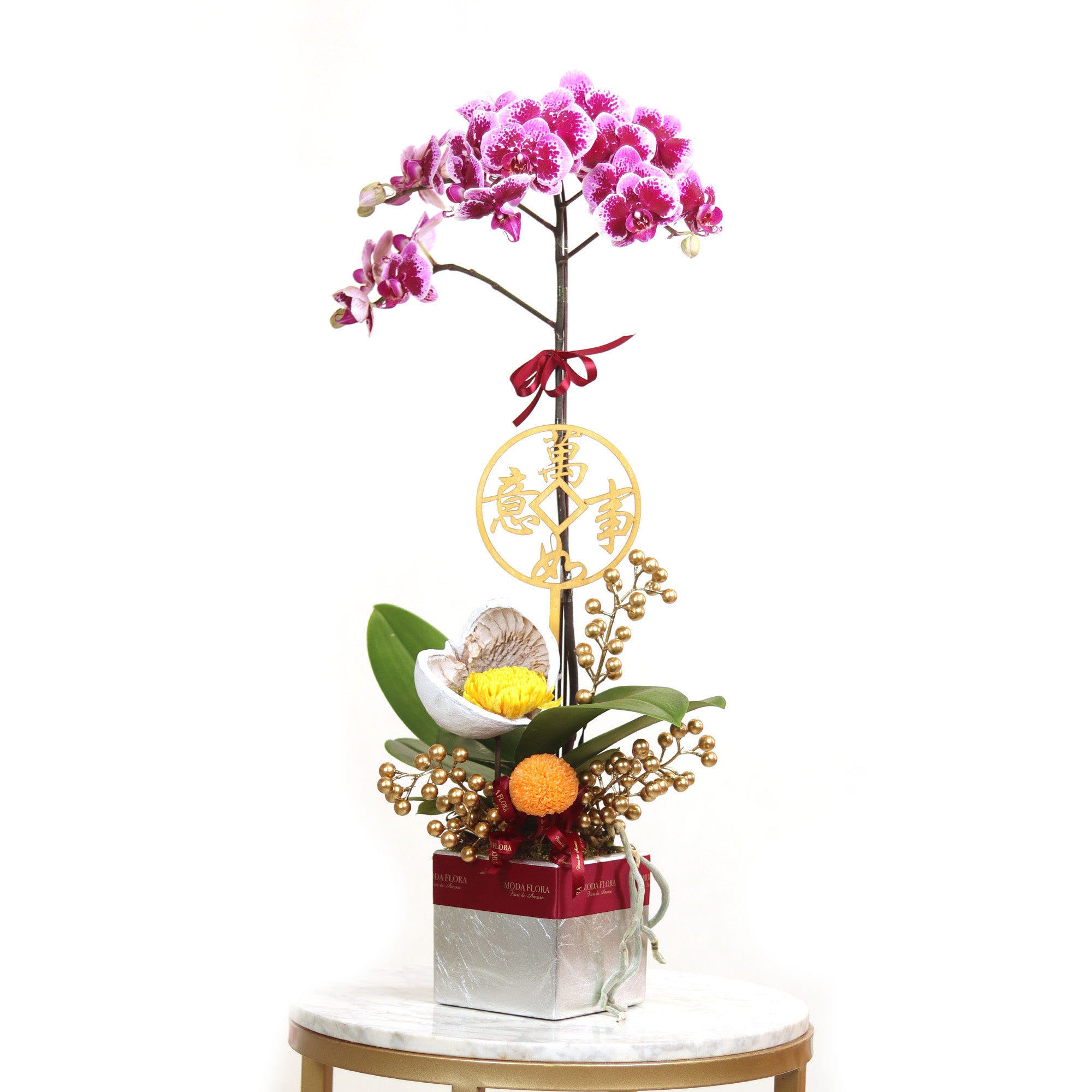 money tree orchid Money Tree (1 Stem)
