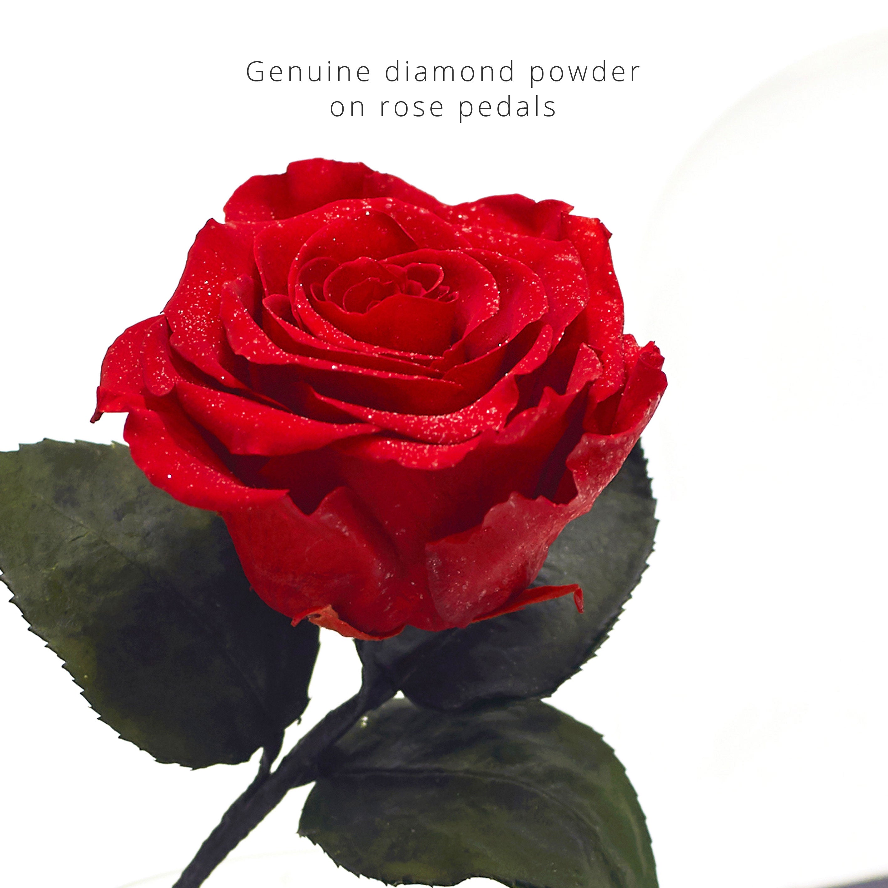 Empress Beauty (With Diamond Powder) - MODA FLORA