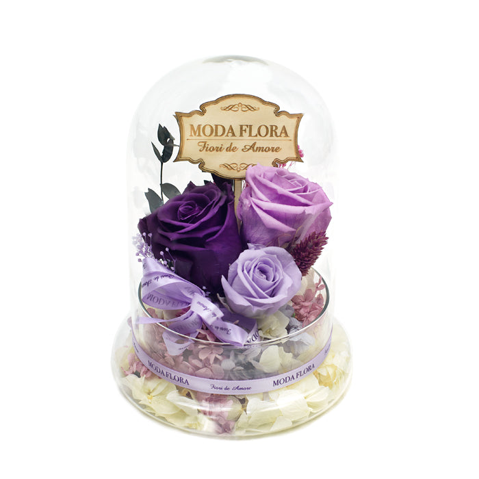 Regal Supreme Purples