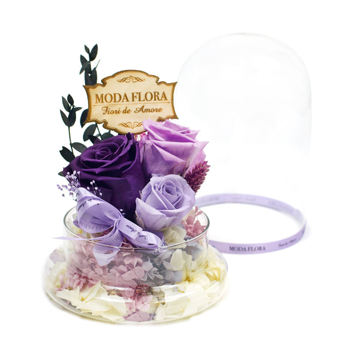 Regal Supreme Purples