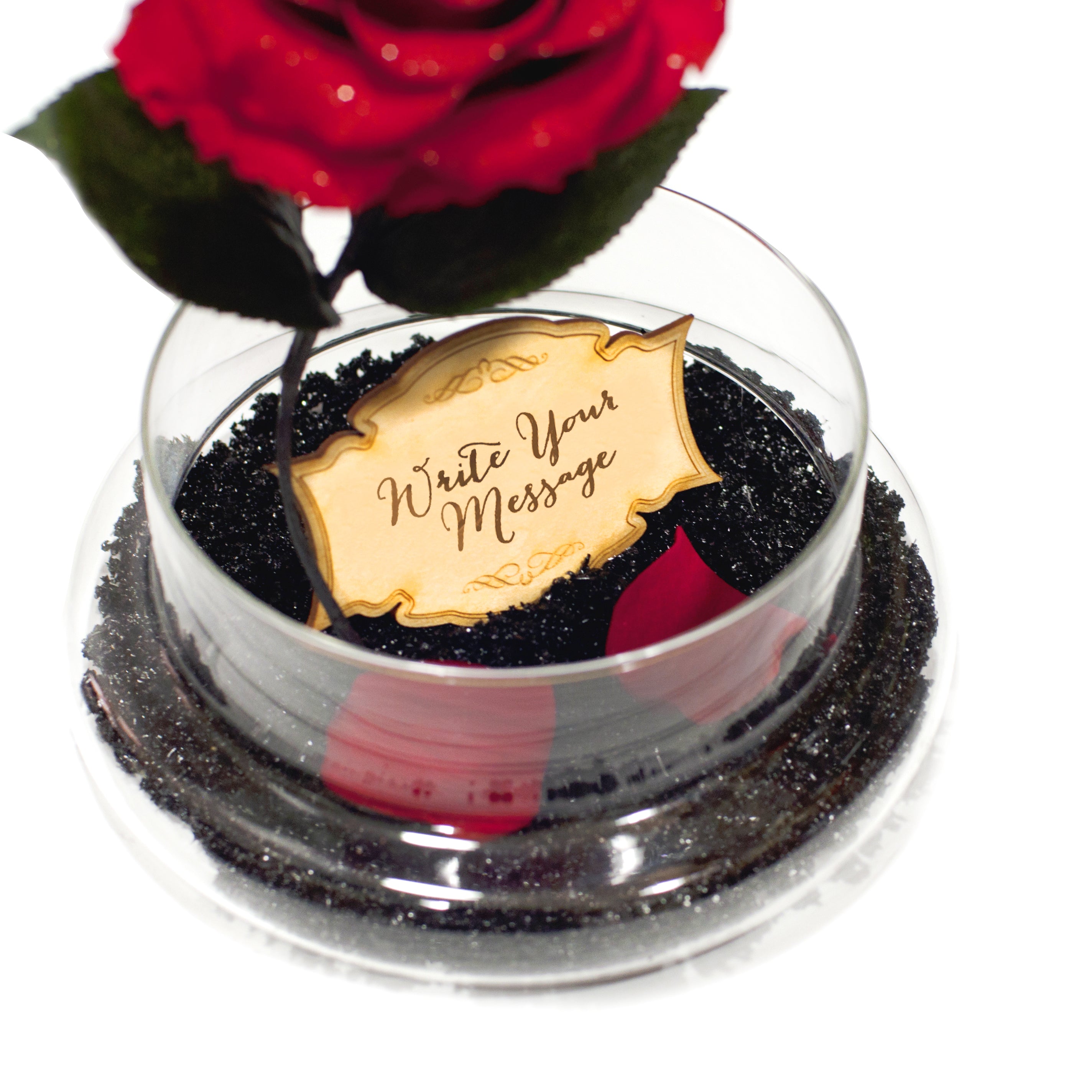 Empress Beauty (With Diamond Powder) - MODA FLORA