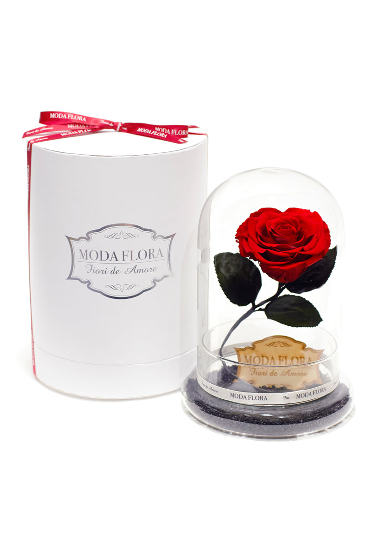 BEST SELLERS GIFTS