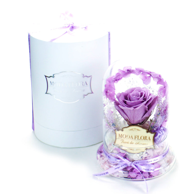 Halo Purple (L)