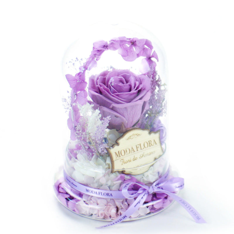 Halo Purple (L)
