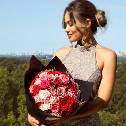 24 Roses - Signature Pink - MODA FLORA