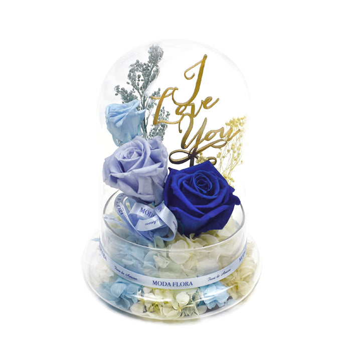 Artistry (L) - Blue