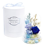 Artistry (L) - Blue