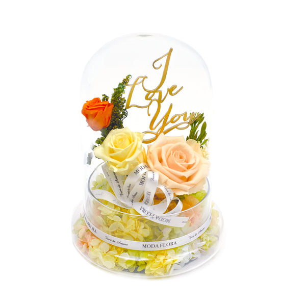 Artistry (L) - Peach