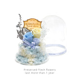 Baby Supreme Blue - MODA FLORA