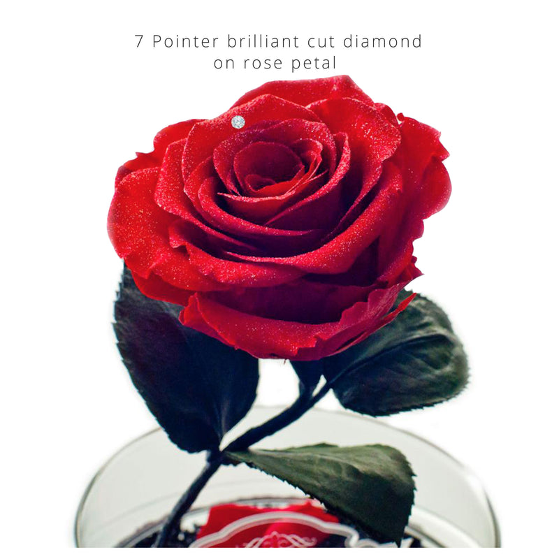 Brilliant Beauty (With Real Diamond) - MODA FLORA
