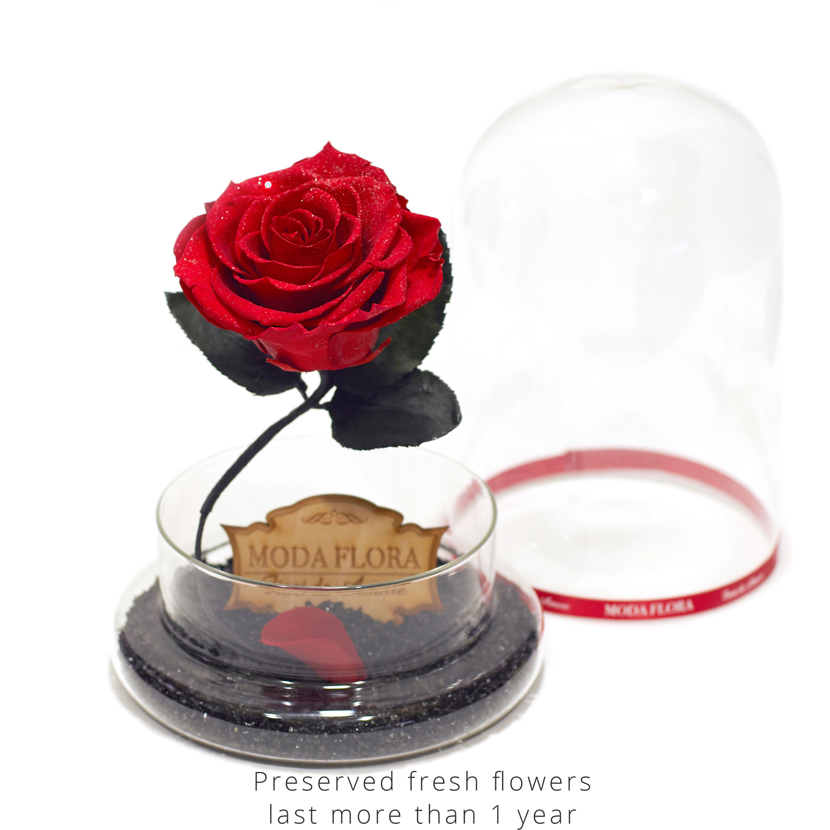 Brilliant Beauty (With Real Diamond) - MODA FLORA