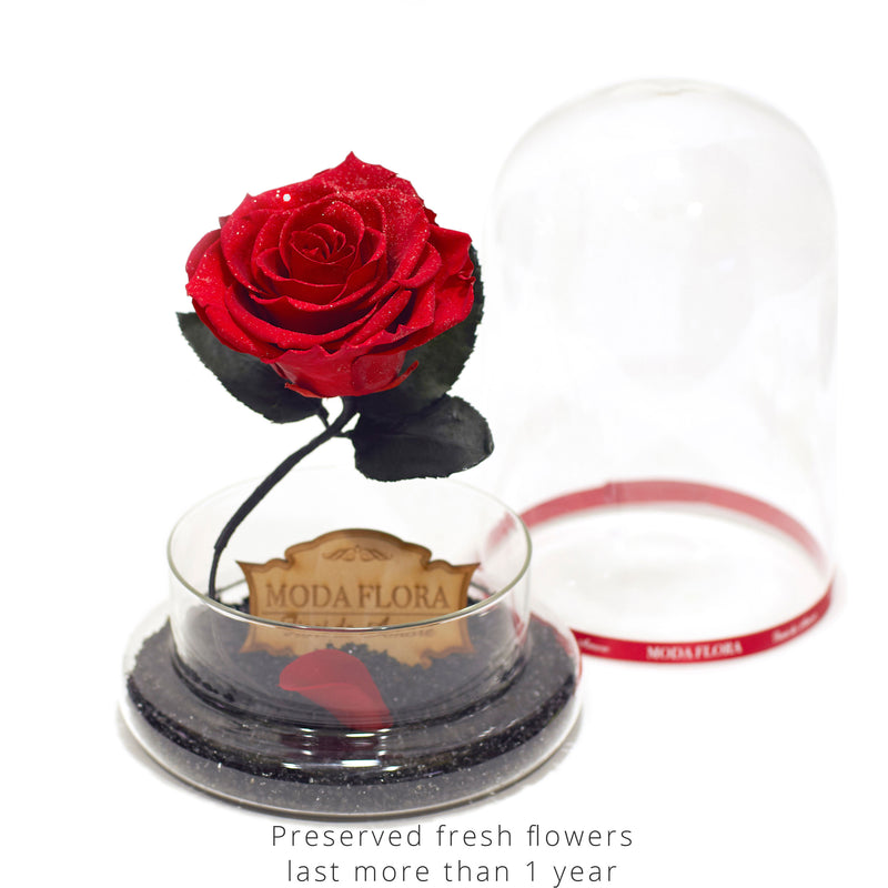 Brilliant Beauty (With Real Diamond) - MODA FLORA