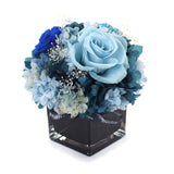 Columbus - 3 Roses - Ocean Blue