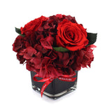 Columbus - 3 Roses - Romance