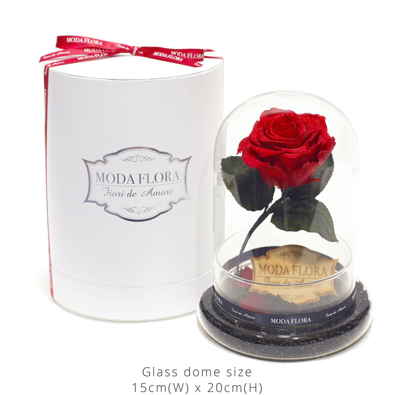 Empress Beauty (With Diamond Powder) - MODA FLORA