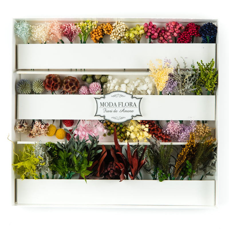 GRN80 - MODA FLORA