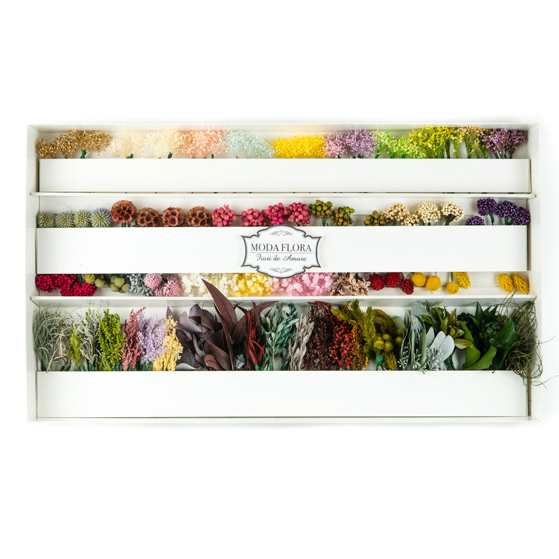 GRN200A - MODA FLORA