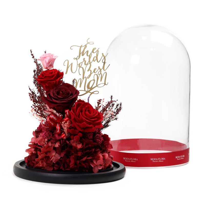 Grand Artistry Red
