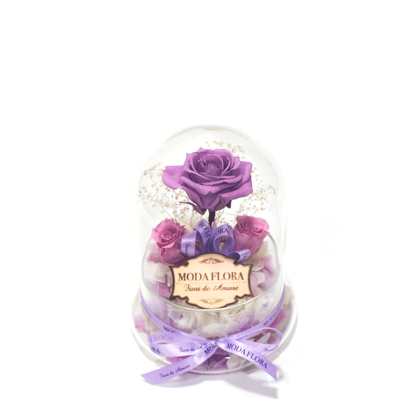 The Little Princess - Lavender - MODA FLORA
