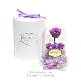The Little Princess - Lavender - MODA FLORA