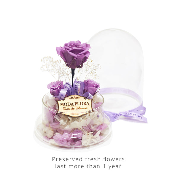 The Little Princess - Lavender - MODA FLORA