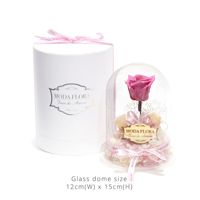 The Little Princess - Cherry - MODA FLORA