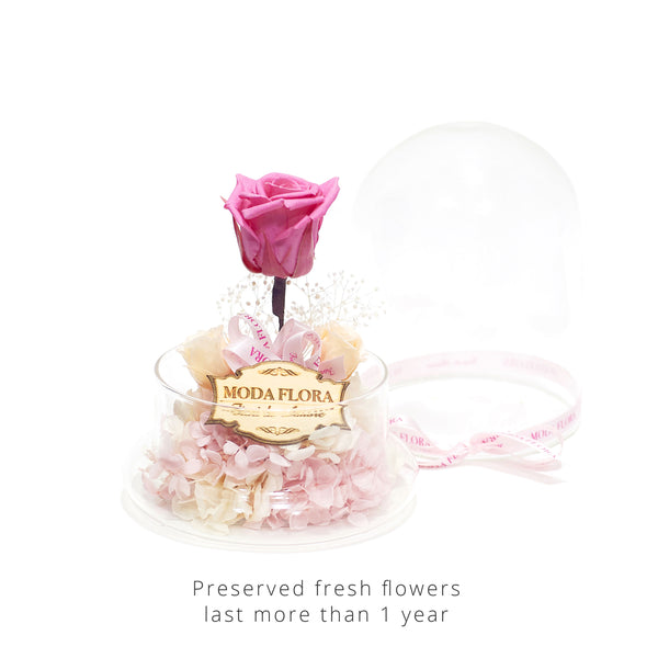 The Little Princess - Cherry - MODA FLORA