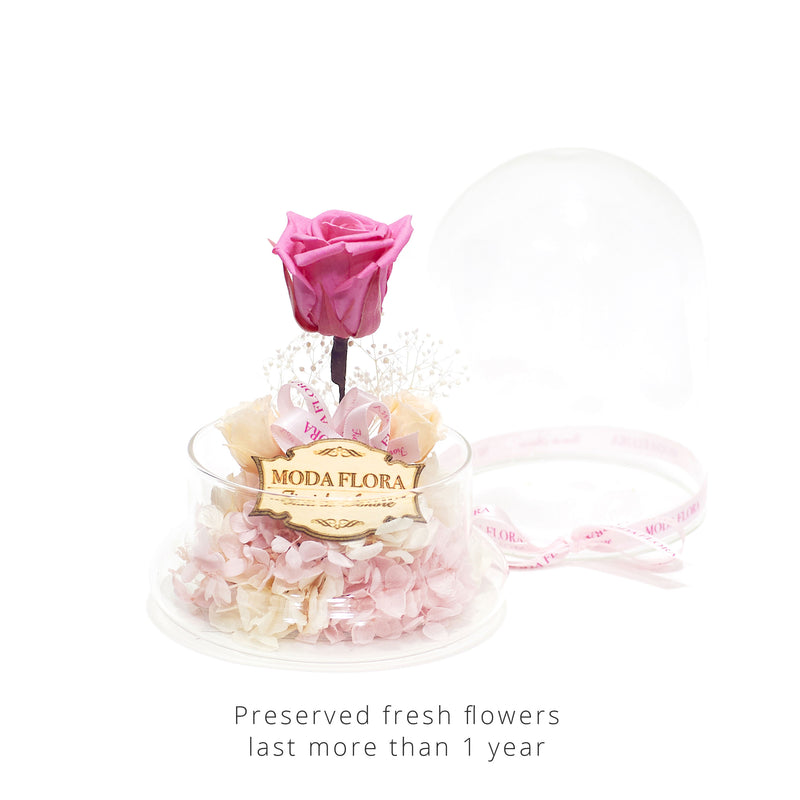 The Little Princess - Cherry - MODA FLORA