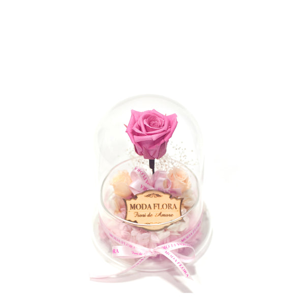The Little Princess - Cherry - MODA FLORA