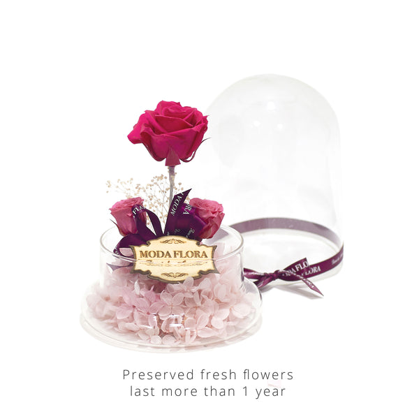 The Little Princess - Hot Pink - MODA FLORA