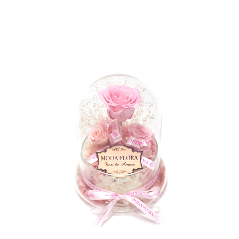 The Little Princess- Pink - MODA FLORA