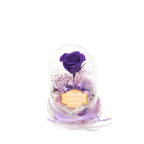 The Little Princess - Purple - MODA FLORA