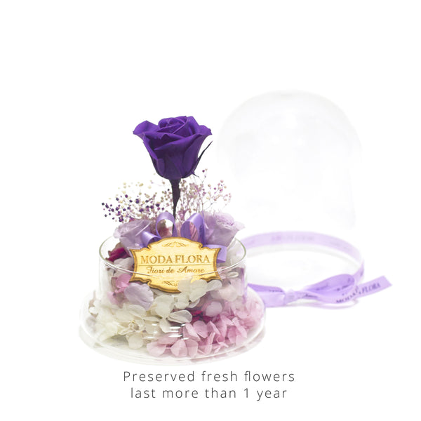 The Little Princess - Purple - MODA FLORA