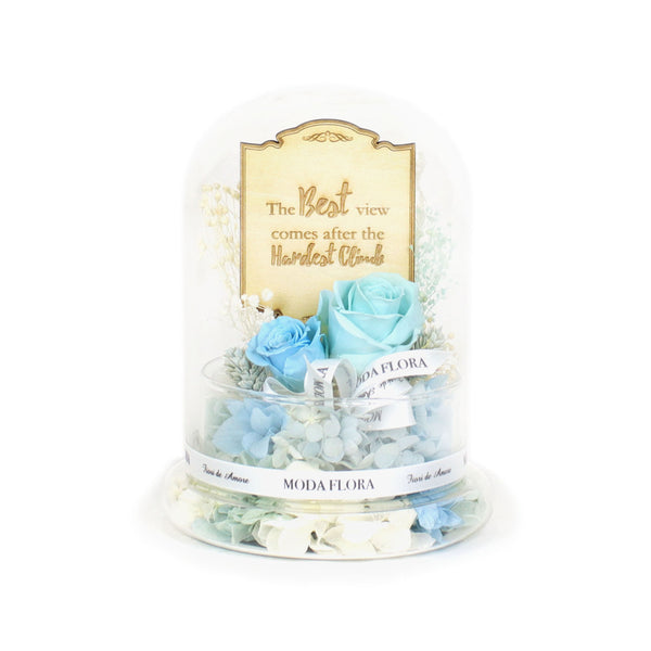 Miracle S Blue