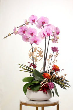 Orchid Elegance (3 stems)