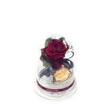 Princess Garden Burgandy - MODA FLORA