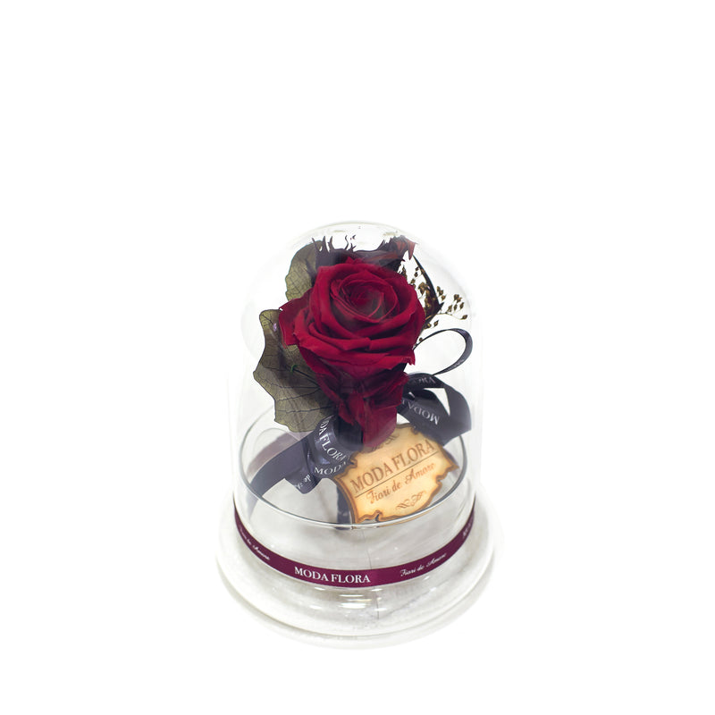 Princess Garden Burgandy - MODA FLORA