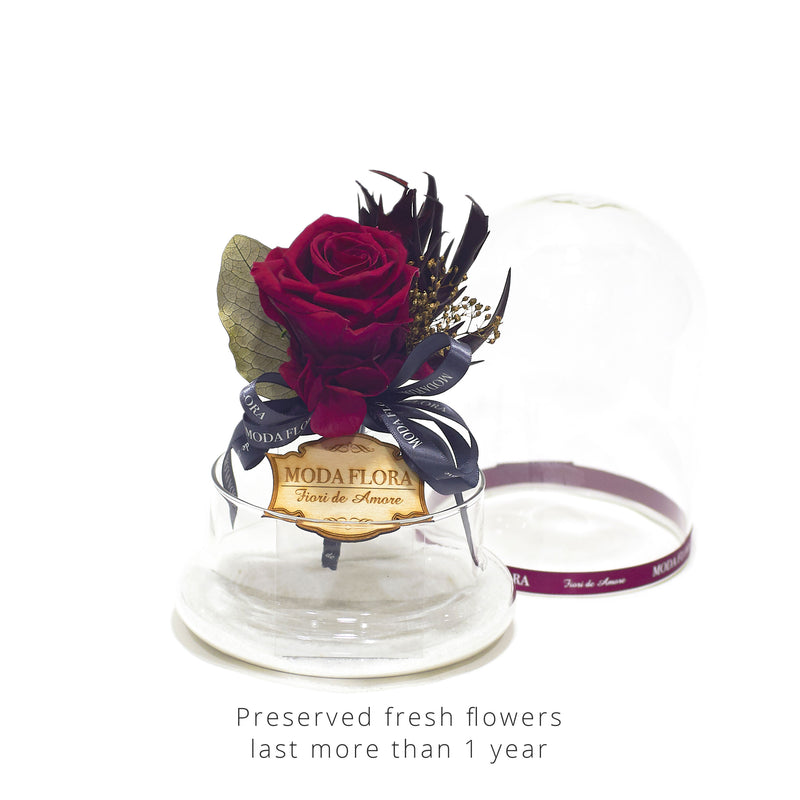 Princess Garden Burgandy - MODA FLORA
