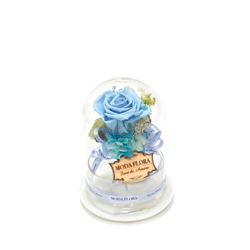 Princess Garden Baby Blue - MODA FLORA