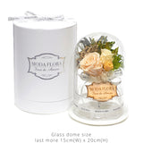 Queen Garden Peach - MODA FLORA