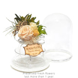 Queen Garden Peach - MODA FLORA