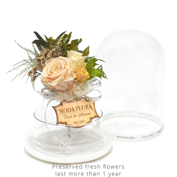 Queen Garden Peach - MODA FLORA