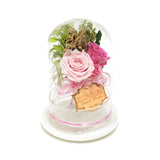 Queen Garden Pink - MODA FLORA