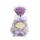 The Queen Lavender