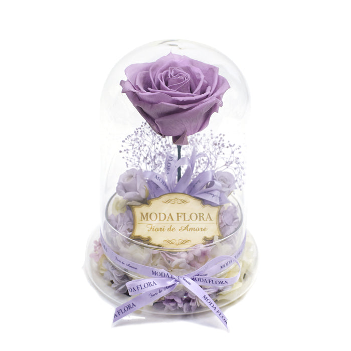 The Queen Lavender