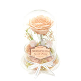 The Queen Peach - MODA FLORA