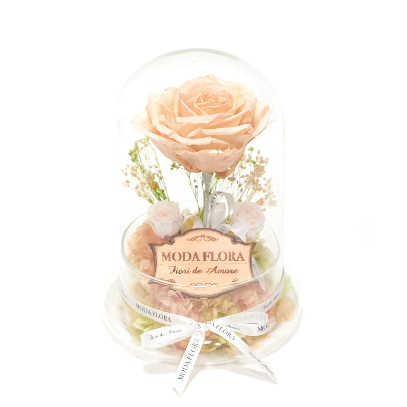The Queen Peach - MODA FLORA